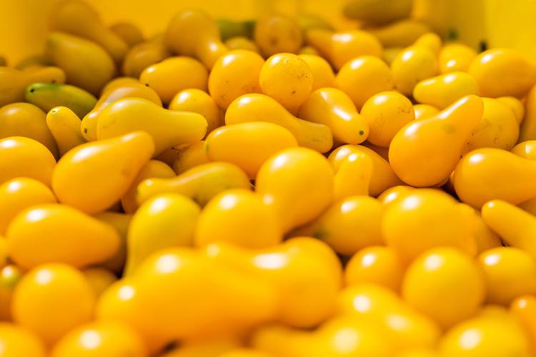 Yellow Pear tomatoes