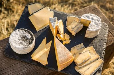 Pasture to package: How cheese is made