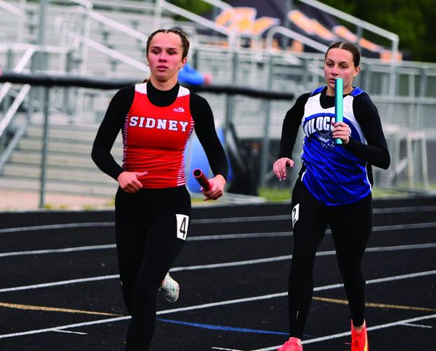 Ashlyn Hayes, Sidney