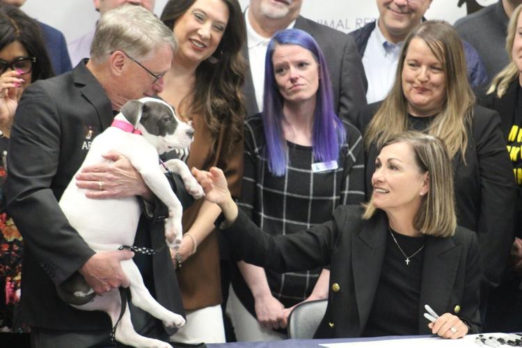 lgaz-20260512-news-dmb-reynolds-animal-torture-1