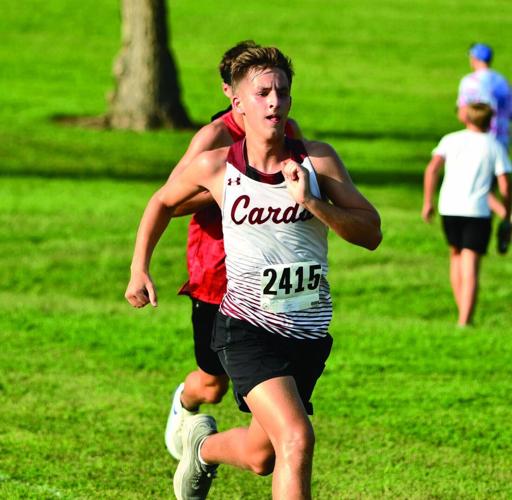 Malcolm Taylor, Clarinda