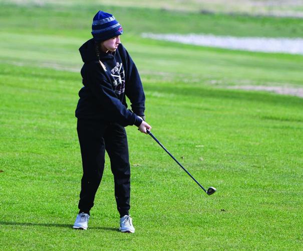 Ashlee Dinges, Shenandoah