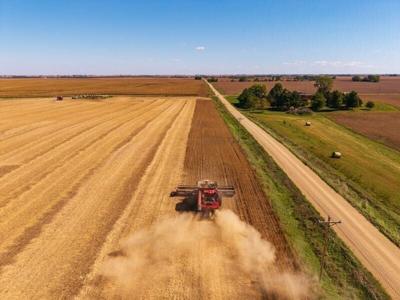 Iowa soybean producers experienced lost export markets last year, given trade disputes with China, and weaker demand from the struggling biodiesel industry.