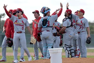 Cardinals first full-squad workout