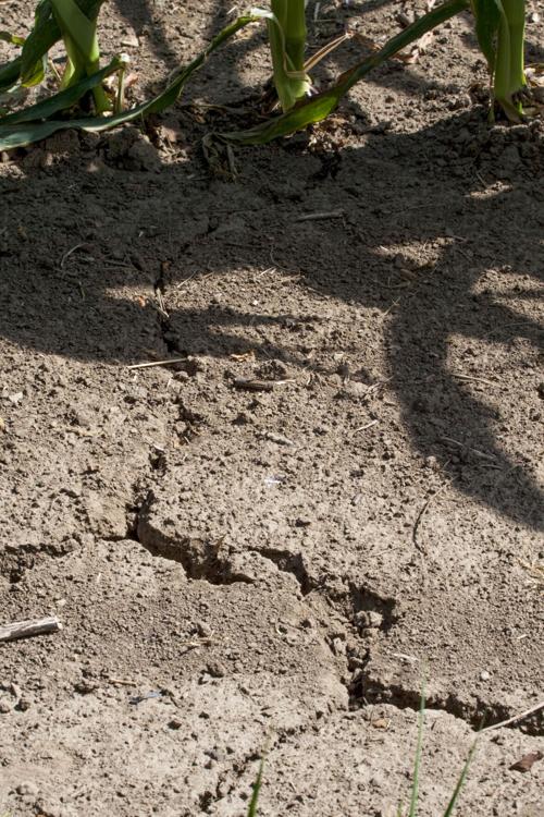 Iowa’s drought outlook improves
