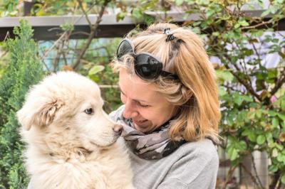 When to take Social Security is a high-stakes financial decision. Be on guard for incorrect information, and use free or paid claiming-strategy guidance.