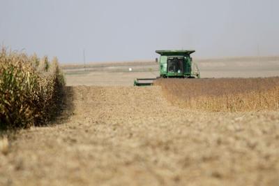 1002soybean-harvest.jpg