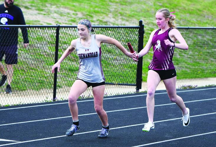 Cook Nelson Shenandoah