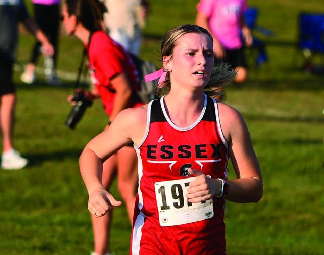 Ella Sandahl, All-Sports All-Area