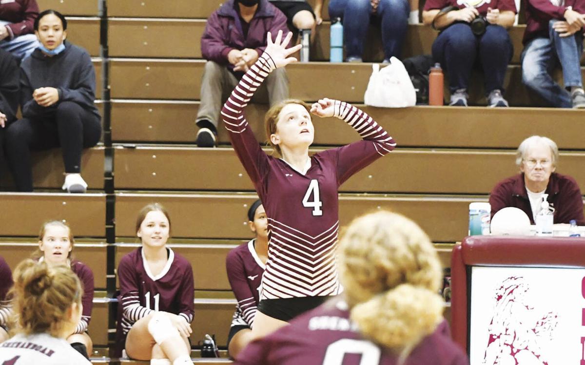Cassidy Morris, Shenandoah