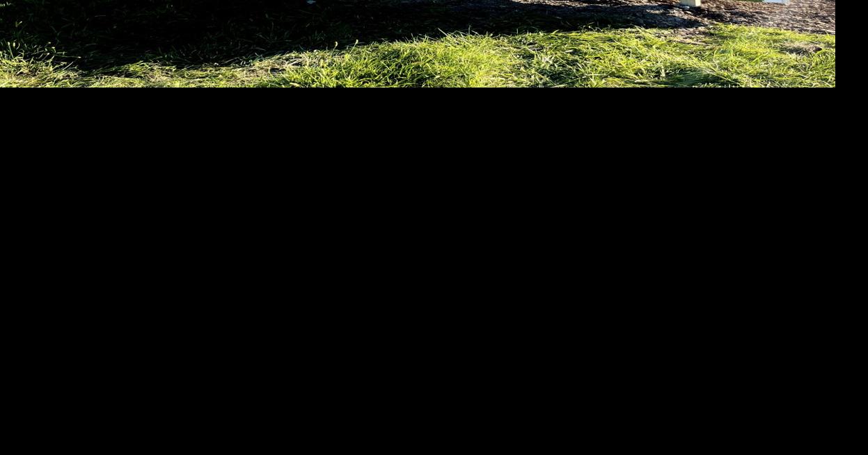 Shenandoah 2023 Everly Brothers Heritage Day features UK Baldy Holly