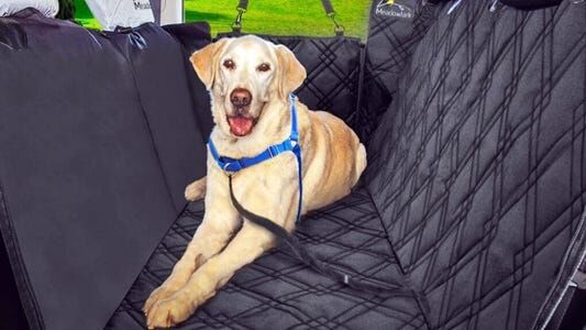 Best Dog Seat Covers