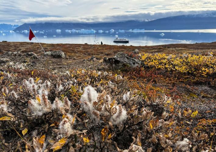 The tundra in Harefjord in surprisingly bright autumnal colours.