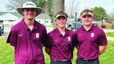 Green Martin Laughlin Shenandoah