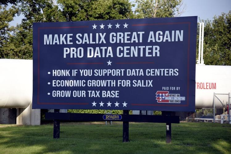 Salix billboard