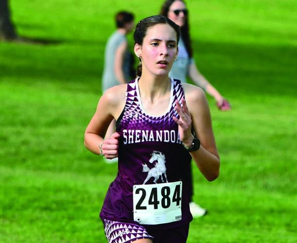 Lucy Gutierrez, Shenandoah