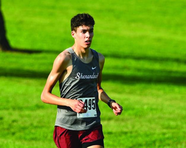 Jonas Gutierrez, Shenandoah
