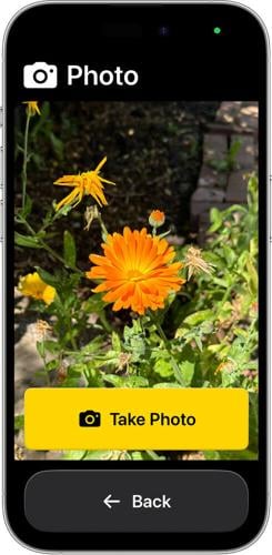 Assistive Access -- Camera app.jpg