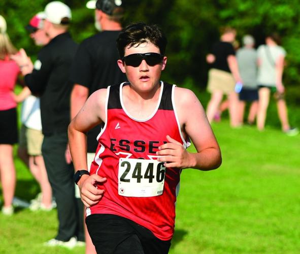 Bentley Bowers, Essex