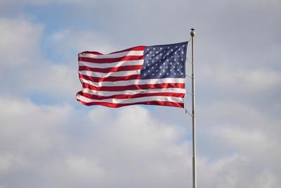 Cardinals Bengals Football