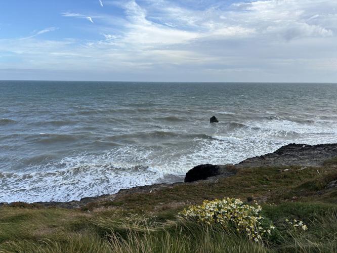 IMG_0729.jpeg