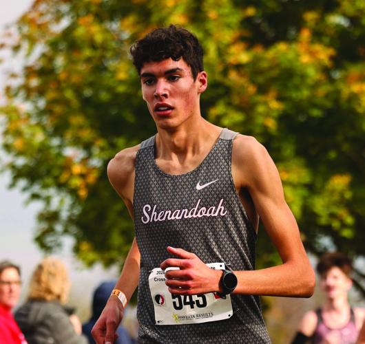 Jonas Gutierrez, Shenandoah