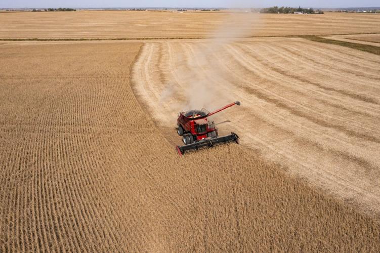 241002_soybean_harvest