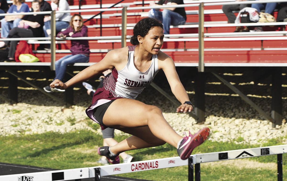 Allie Eveland, Shenandoah