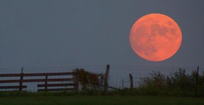 Harvest moon