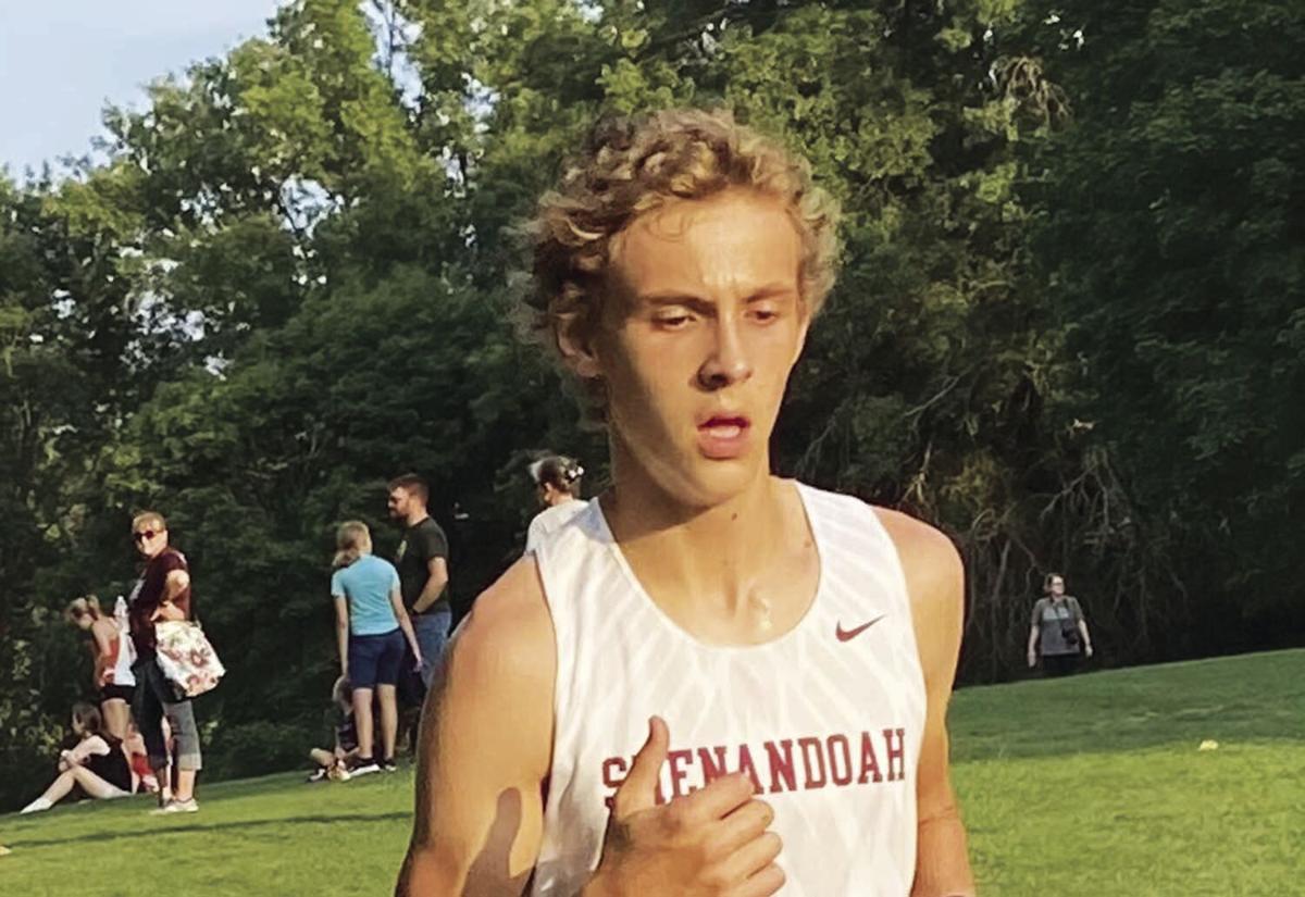 Brandon McDowell, Shenandoah