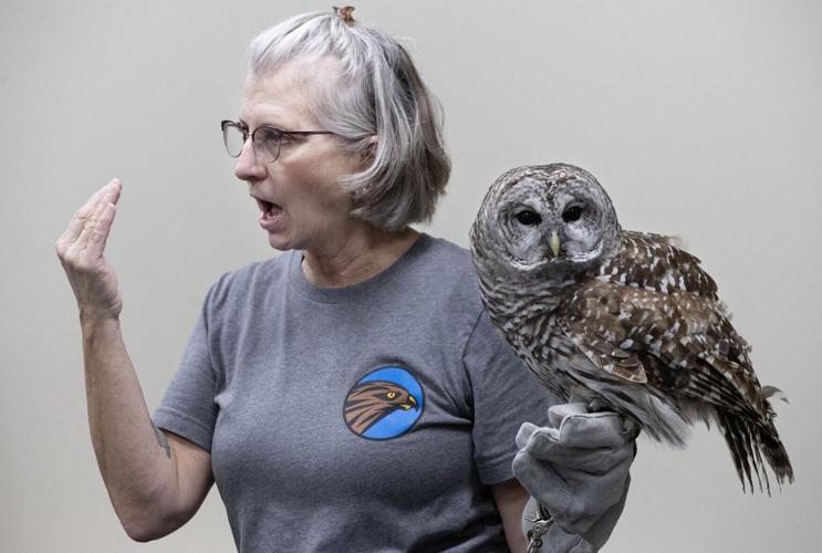 d870216e-beca-51b9-bd57-60ad5d32ba6d