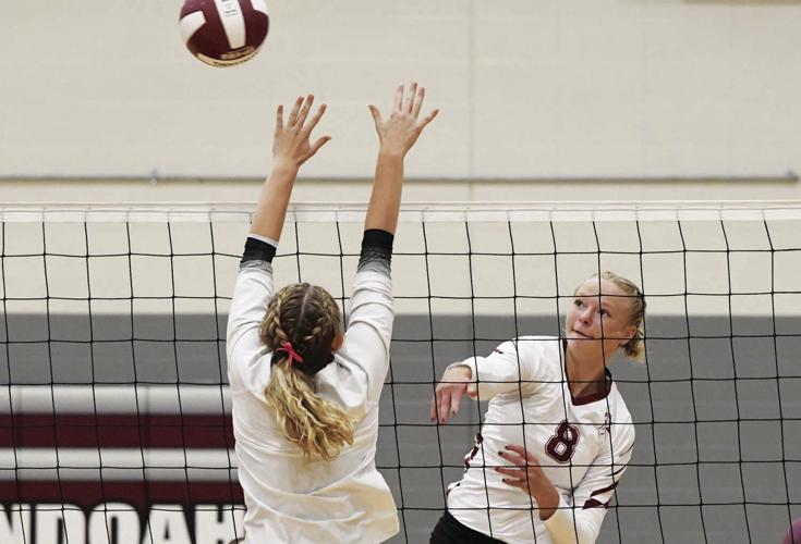 Ashlynn Hodges, Shenandoah