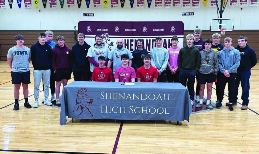Shenandoah Baseball signs