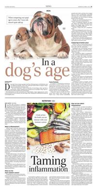Page B5