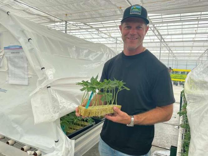 GOING FROM RED TO GREEN Glass House converts a tomato farm to a high