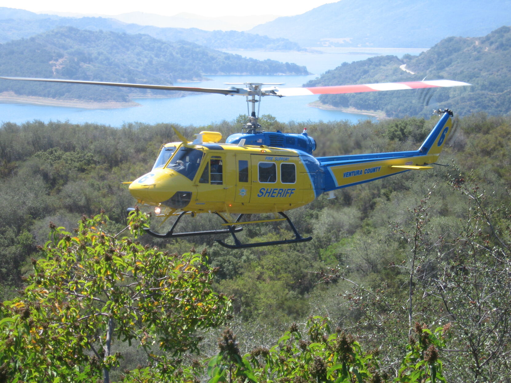 Weed and Demand: Illegal marijuana crops in the Los Padres Forest scaling back for reasons unknown