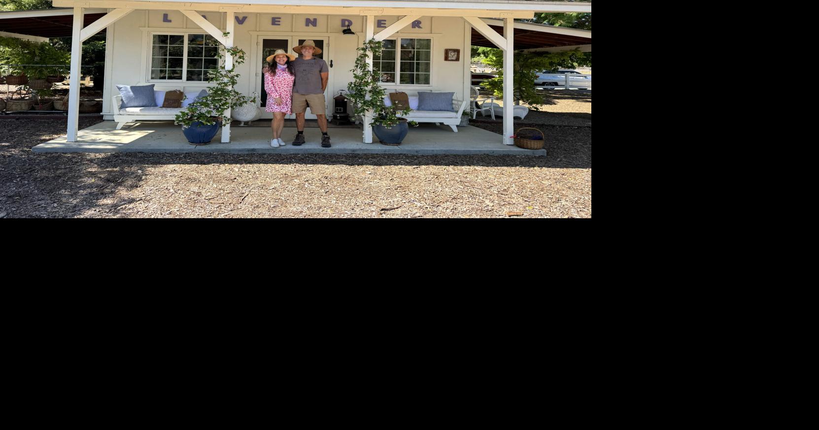 A Life in Lavender: Frog Creek Farm immerses visitors in botanical bliss
