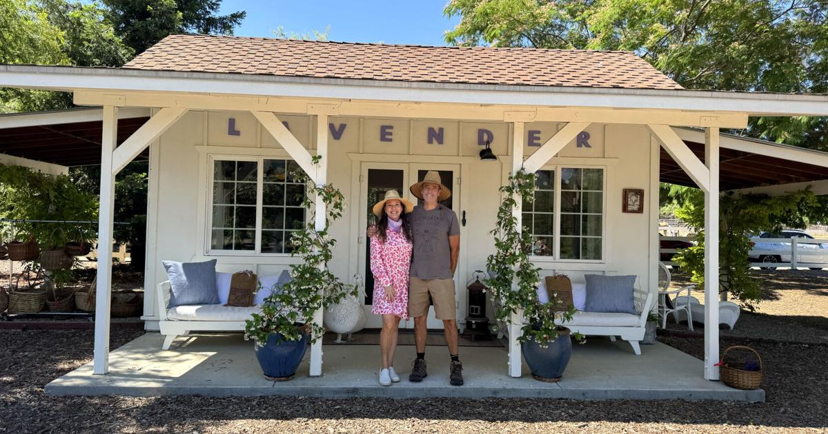 A Life in Lavender: Frog Creek Farm immerses visitors in botanical bliss