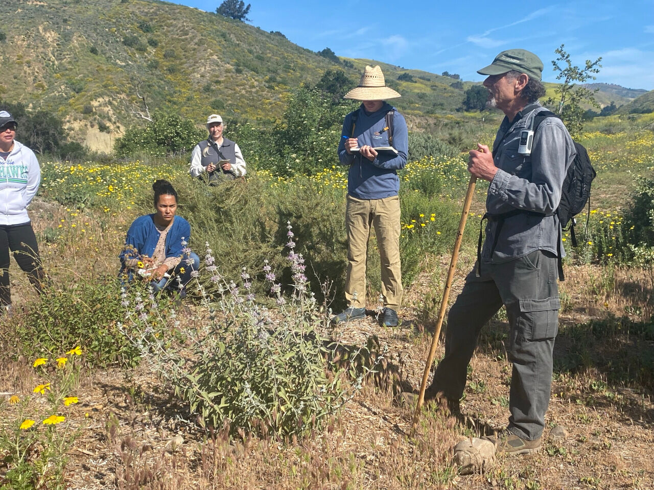 Talking wild herbs and more with Lanny Kaufer Dining