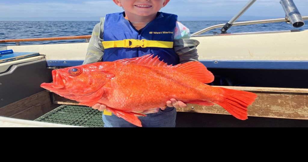 FISHY BUSINESS Proposed rockfish regulations send shock waves through