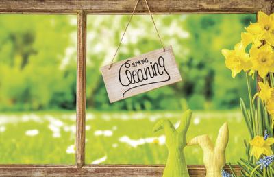 Spring Green Clean Green spring cleaning | Eye On Environment | vcreporter.com