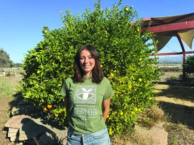 Cultivating Success: SEEAG hopes Southbank Learning Farm will help ...
