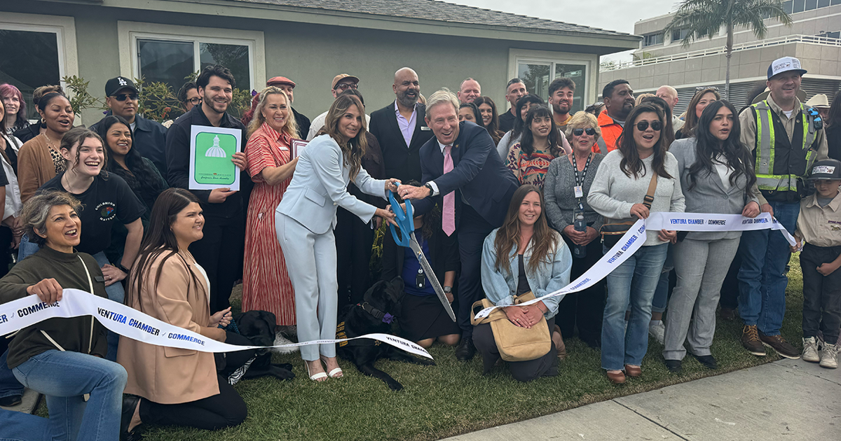 Childhood Matters: New wellness organization addresses mental health for youth | News Childhood Matters: New wellness organization addresses mental health for youth | News