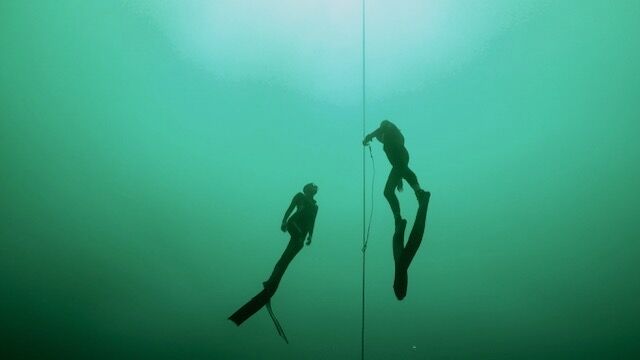 Lines - Cords - Spearfishing & Freediving