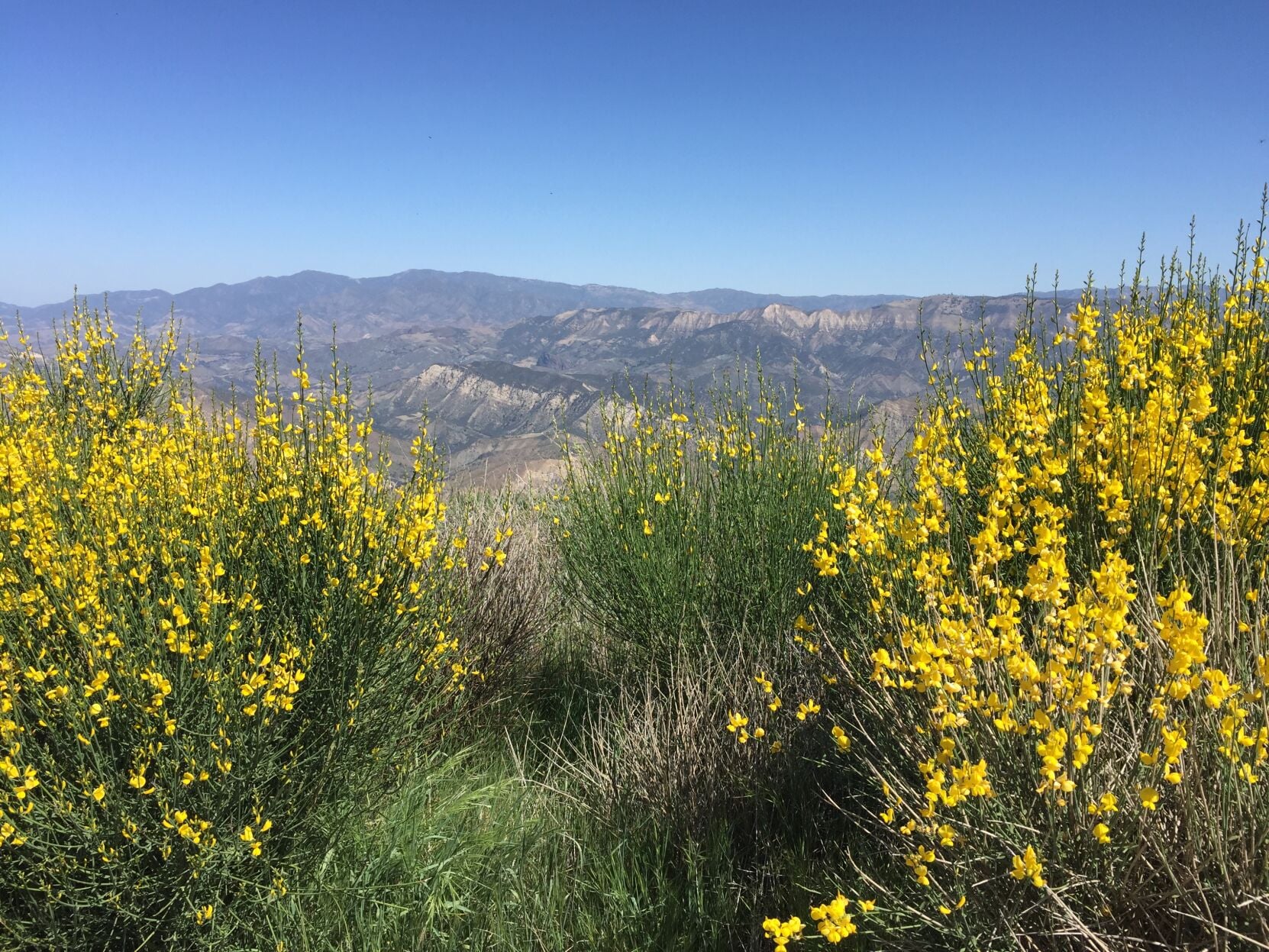 In Brief: Week of Sept. 11, 2025 (USDA considers rolling back ‘Roadless Rule’)