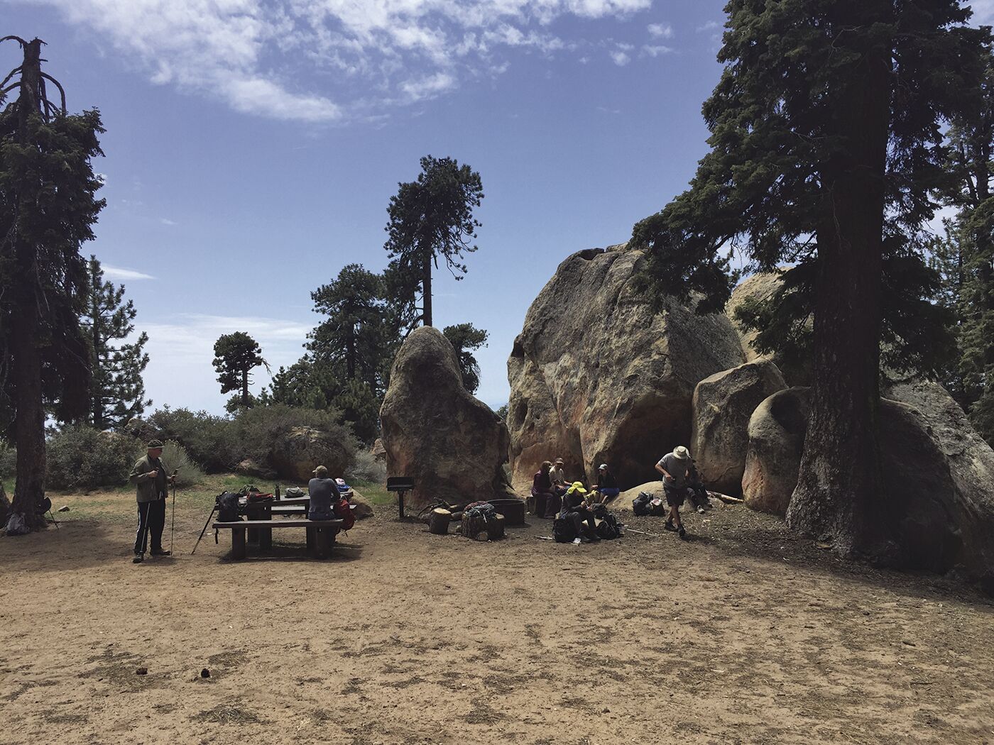 Reyes Peak ruling upheld: Environmental groups lose appeal over forest-thinning project on Pine Mountain