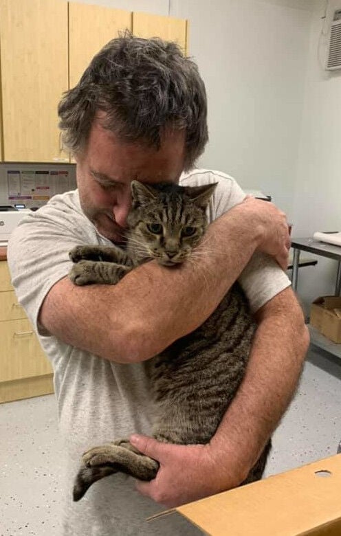 Tabby cat reunited with owners in California 12 years after