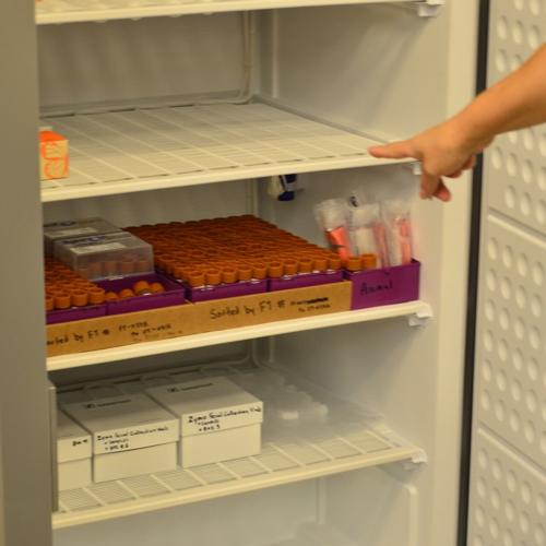 FULL COVID GENOME FOUND IN STOOLS What does this mean for prevention