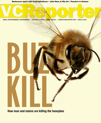 Buzz kill | News | vcreporter.com