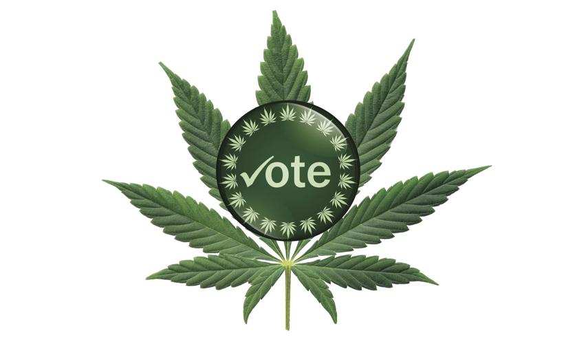Push begins to let voters decide legalization of marijuana News